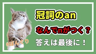 【会員先行公開】冠詞のan〜なんでn？〜