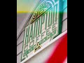 Coffee Shop Motion Graphic Video For Instagram