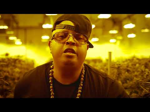 Toledo Feat. Shadley - Sweet Herb (Video Oficial) 2023