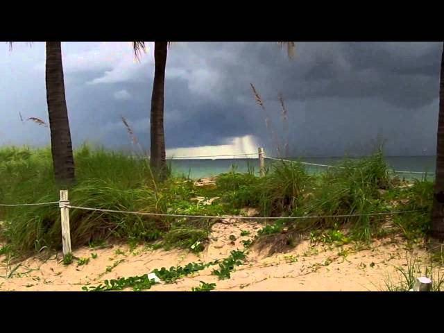 Tropical Fishing Storm