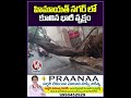 హిమాయత్ నగర్ లో కూలిన భారీ వృక్షం | Rain In Hyderabad | V6 News - Video