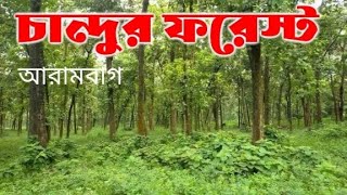 Chandur Forest, Arambagh l What is there to see in the forest garden? When to go?