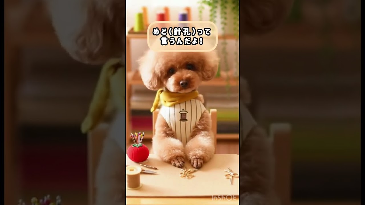 針の「穴」の呼び方、なんて言うか知ってる？　#こんぶ博士