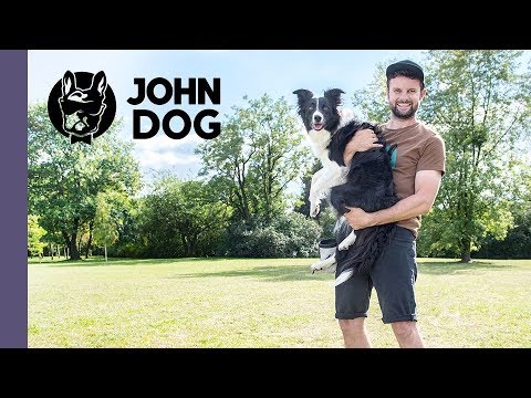 Jak nauczyć psa reagowania na odwołanie? – TRENING PSA – John Dog