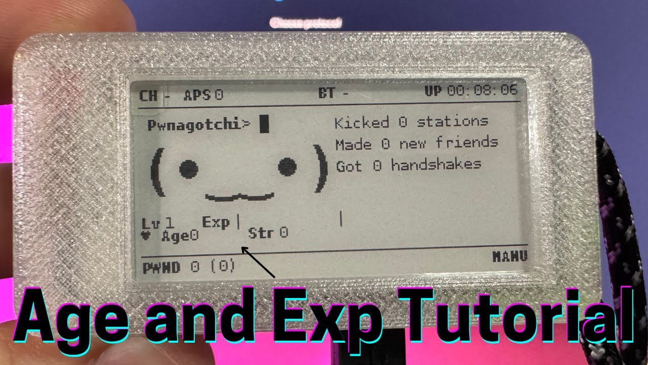 Pwnagotchi Age and EXP Plugin Tutorial