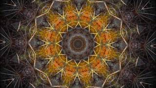 Misery (Pink & Steven Tyler cover)