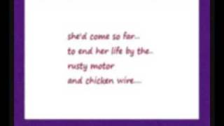 Chicken Wire (Pernice brothers)