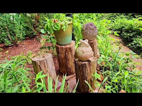 Natural ,Beautiful garden June 2, 2024