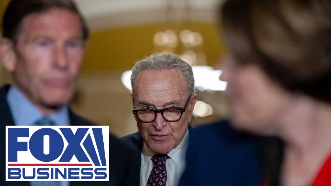 ‘HILARIOUS SPECTACLE’: Expert encourages GOP to sit and watch Democrats ‘self destruct’