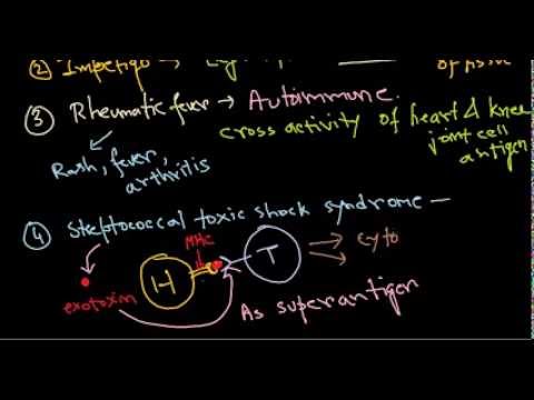 streptococcus a péniszben)