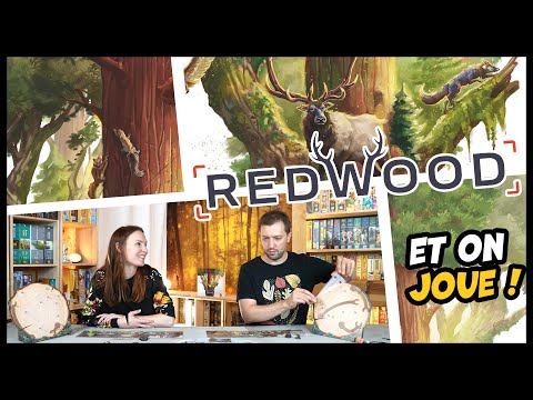 Vidéo Redwood