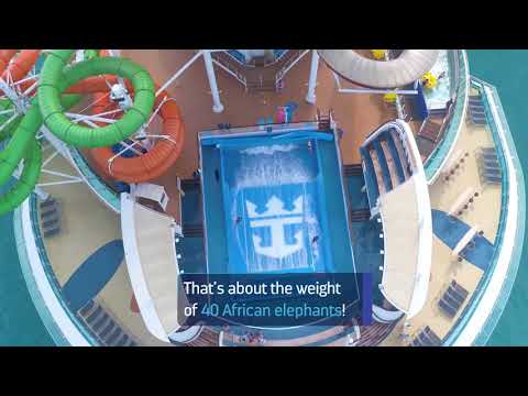 Deskanje/surfanje na križarjenju?