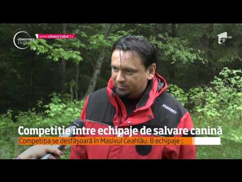 Competiție între echipaje de salvare canină
