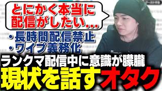 【雑談】現在の体調や経緯と対策について話すオタク【切り抜き】