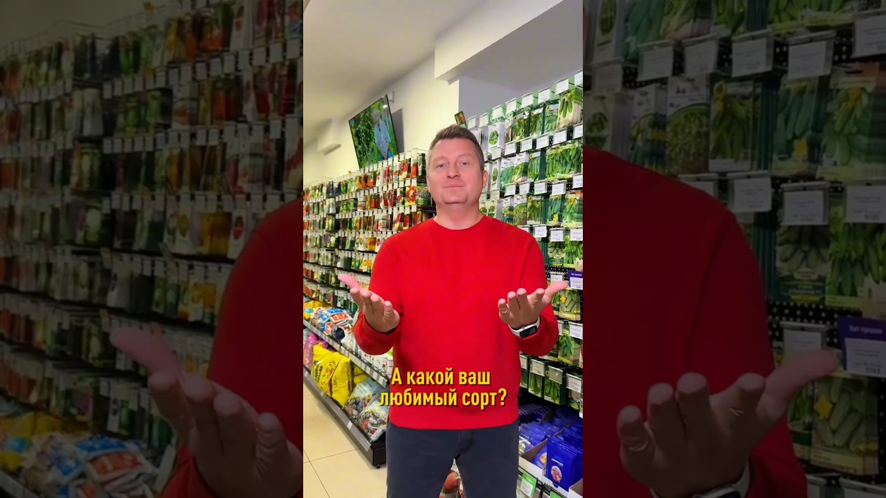 Топ-5 огурцов по покупкам в магазинах Procvetok! Самые популярные огурцы