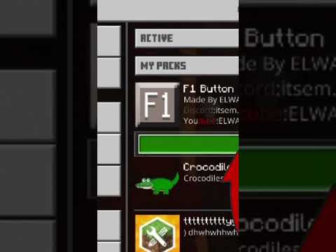 How To Get a F1 Button In MCPE (1.19) | MCPE Tutorials 1.19
