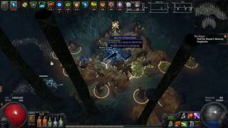 Path of Exile - Internet Test - Cable In Map