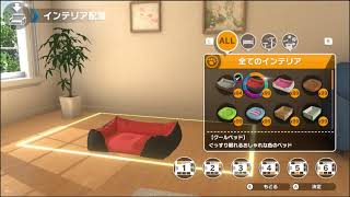 Little Friends: Dogs & Cats video 2