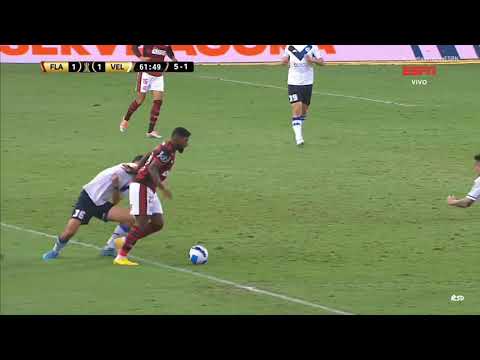 FL4M3NG0 2x1 V3L3Z S4RSF13LD - S3M1F1N4L D4 L1B3RT4D0R3S 2022