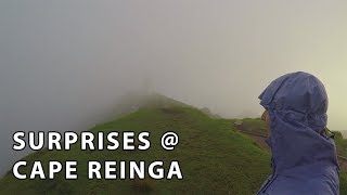 preview picture of video 'A totally unexpected gift at Cape Reinga'