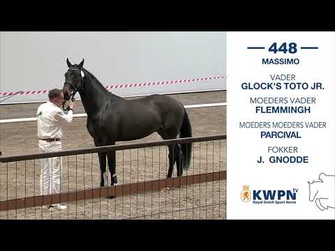 448  Massimo v. Glock's Toto Jr