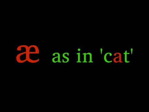 Vowels 101: æ as in 'cat'