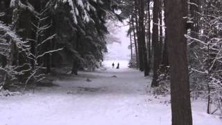 "Amami Uomo" - Renzo Rubino