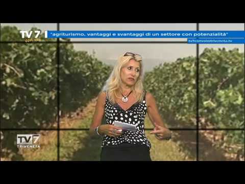 tv7 con voi CIA 160713 115941 H264 1