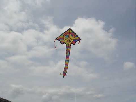kite mp4