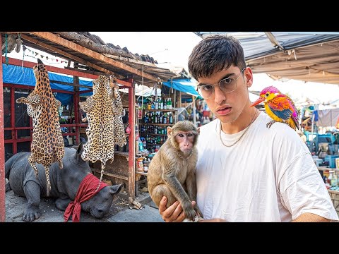 Me Infiltrei em um MERCADO de ANIMAIS EXÓTICOS
