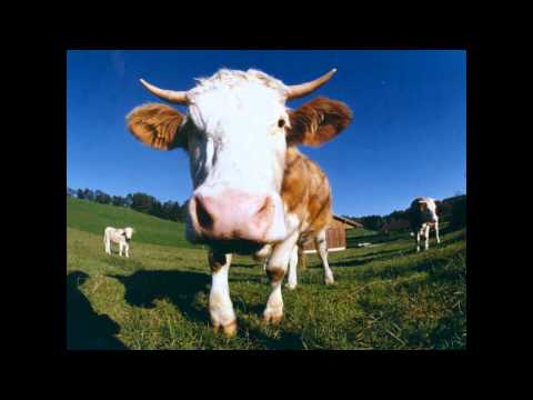 Handwerkskammer Verarsche