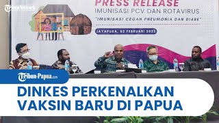 Pemprov Papua Resmi Perkenalkan Vaksin PCV dan Rotavirus, Didistribusikan ke Jayapura & Merauke
