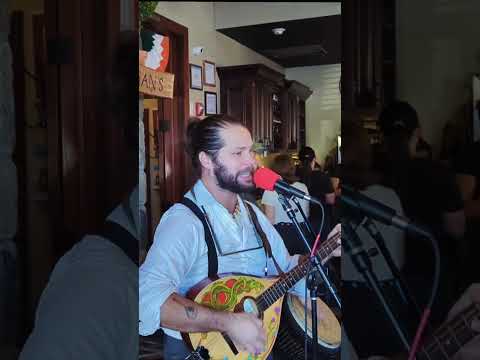 Promotional video thumbnail 4 for Heartwood Celts