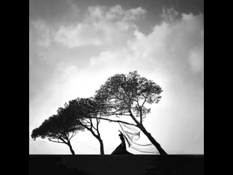 Lars Falk - Painting Pictures