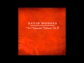 David Hodges - Chasing Shadows (The December ...