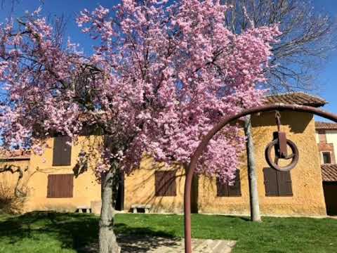 Meditación guiada 3