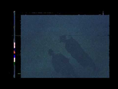 Hendrix Harris - Zone