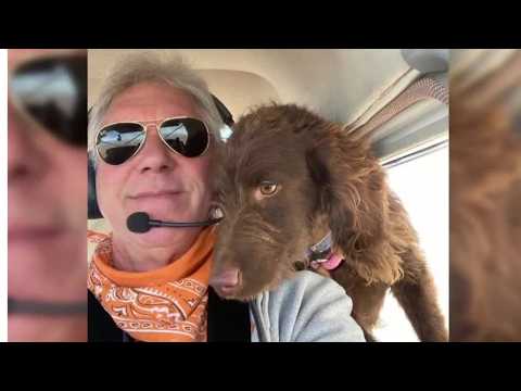 Volunteer dog rescue pilot raises concerns over rising general ...