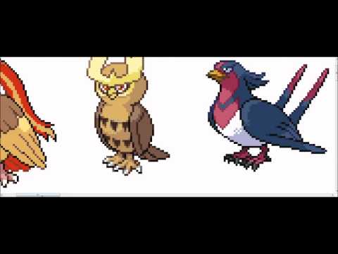 Splicing of Generic Bird Pokemon