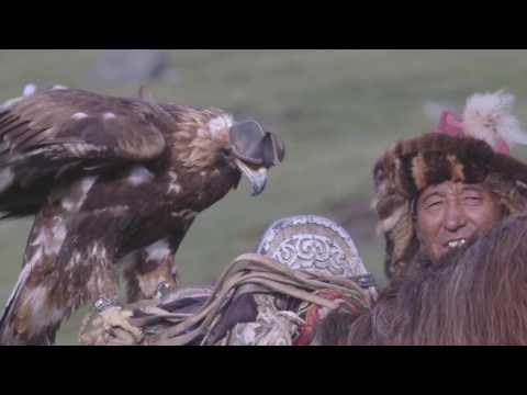 Horseback Eagle Falconry in Mongolia