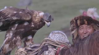 Horseback Eagle Falconry in Mongolia