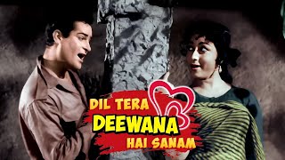Download lagu Dil Tera Diwana Hai Sanam 4K Song - Shammi Kapoor & Mala Sinha | Mohammed Rafi, Lata Mangeshkar mp3