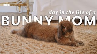 DAY IN THE LIFE OF A BUNMOM | new year, new moon, new vlog!