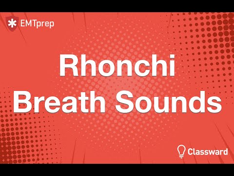 Rhonchi Lung Sounds Animation - EMTprep.com