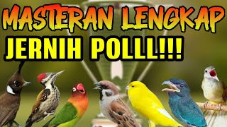 Download lagu MASTERAN MURAI LENGKAP 7 TEMBAKAN ANDALAN MURAI JUARA .SUARA JERNIH MUDAH DITIRUKAN MURAI TROTOLAN mp3 Download lagu MASTERAN MURAI LENGKAP 7 TEMBAKAN ANDALAN MURAI JUARA .SUARA JERNIH MUDAH DITIRUKAN MURAI TROTOLAN mp3