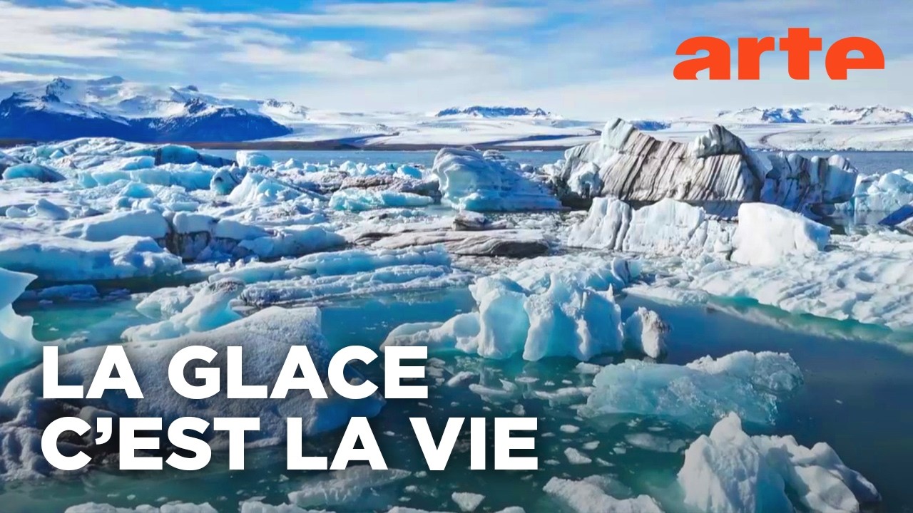 Pourquoi il est vital de protéger nos glaciers | Avec Heidi Sevestre, glaciologue | ARTE