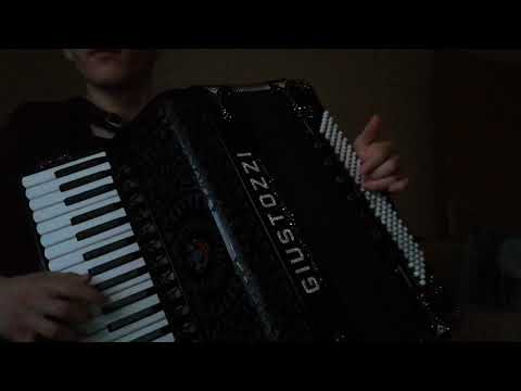 Kad te život zaboli - harmonika Marijan