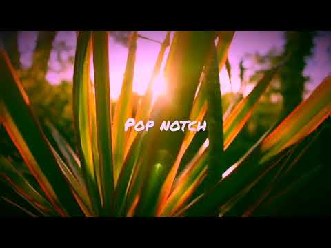 Ralk, Zerb & Vitório - Sunlight