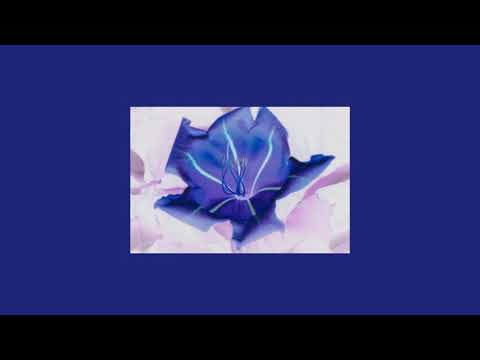 Wontolla, Kasger & Limitless - Miles Away