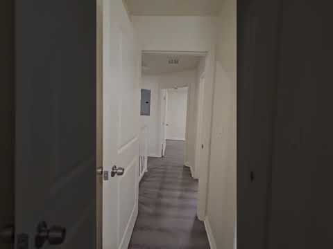 BROADWAY (10611) - Video 2 of 2